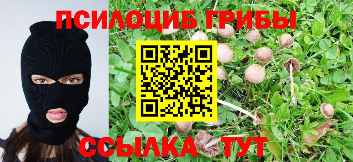 магазин продажи   Вход с VPN  Галлюциногенные грибы MAGIC MUSHROOMS  Ухта  Псилоцибиновые грибы Psilocybine cubensis 