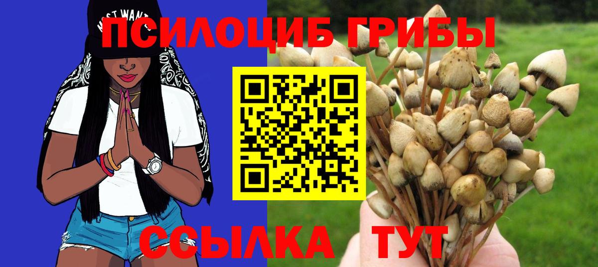 Псилоцибиновые грибы Magic Shrooms Ухта